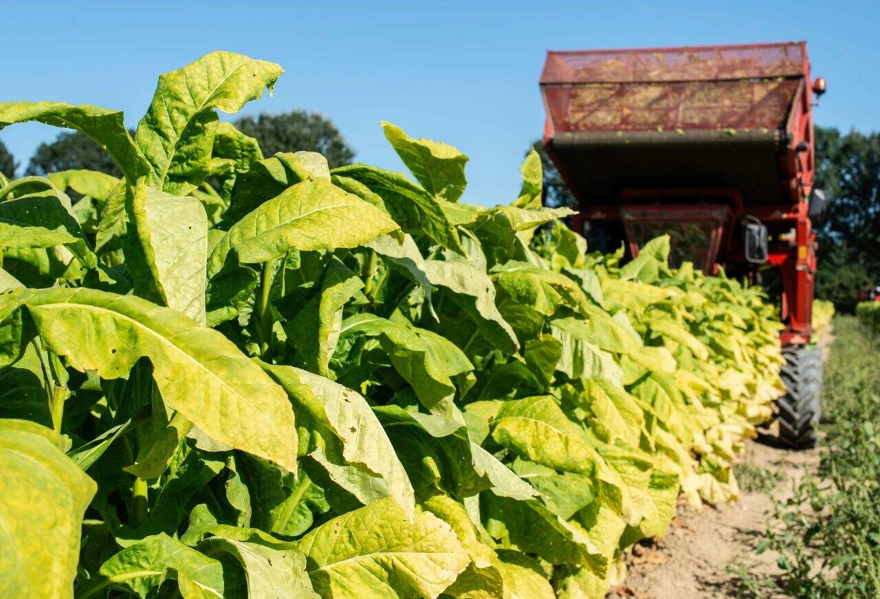 1678157836127337H9Uf.jpg 61d00e2108176bbc2c953d442d67bc70.jpg