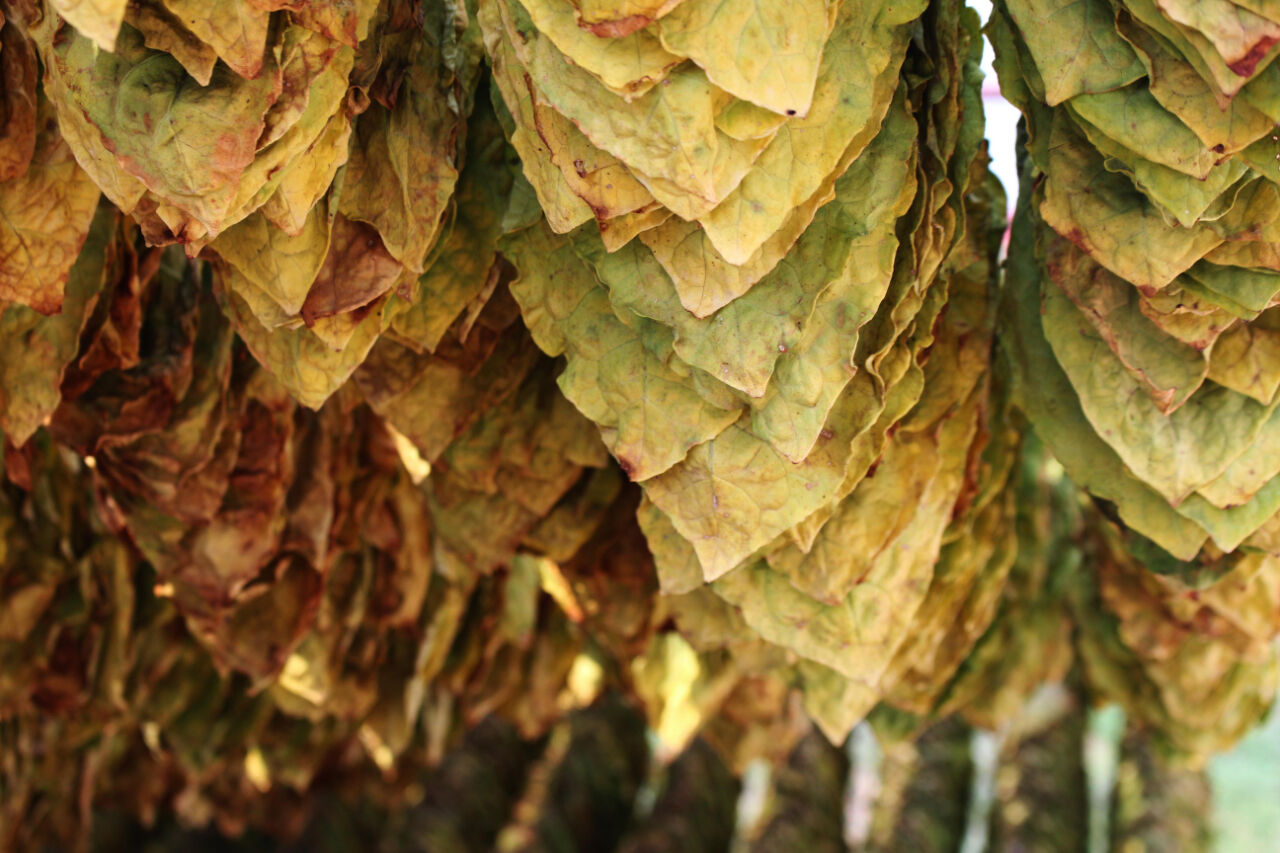 1678157967238000xCvy.jpg f6bf629c9e0daf7164dc29081c163c58.jpg